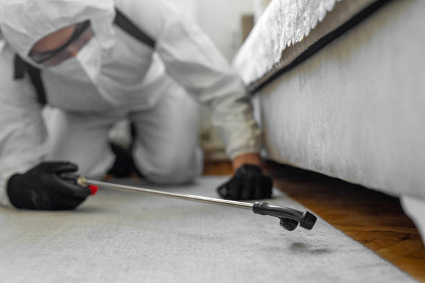 Professional Rodent Control technician working in Lock Haven, PA