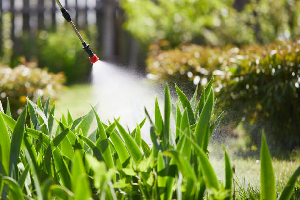24/7 Emergency Rodent Control experts in Lock Haven, PA