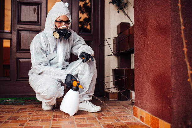 Reliable Rodent Control contractor in Lock Haven, PA by Nex Pest Control