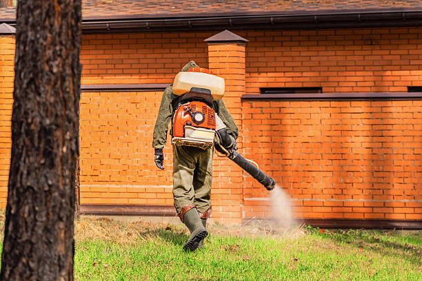Trusted Rodent Control service in Lock Haven, PA - Nex Pest Control